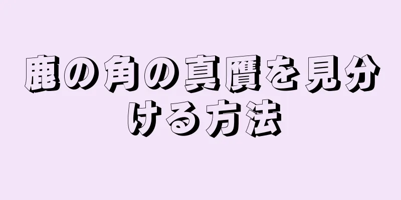 鹿の角の真贋を見分ける方法