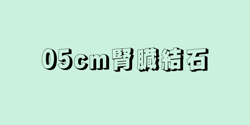 05cm腎臓結石