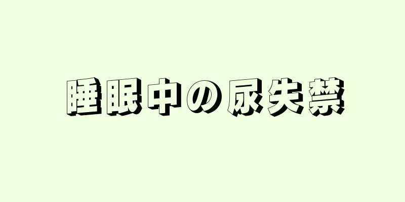 睡眠中の尿失禁