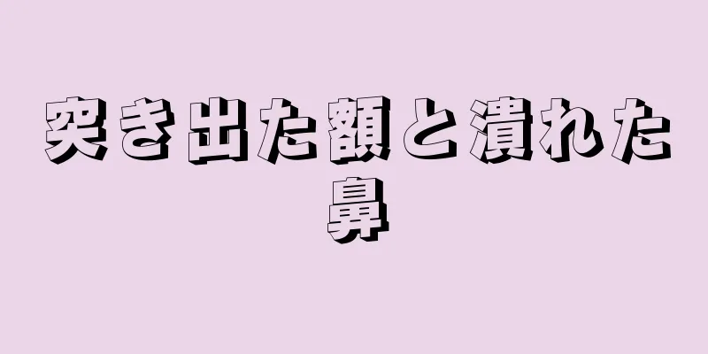 突き出た額と潰れた鼻