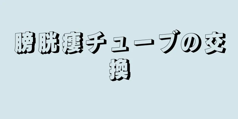 膀胱瘻チューブの交換