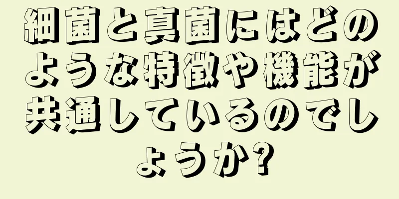 細菌と真菌にはどのような特徴や機能が共通しているのでしょうか?