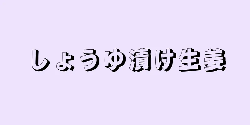 しょうゆ漬け生姜