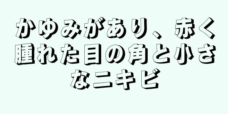 かゆみがあり、赤く腫れた目の角と小さなニキビ