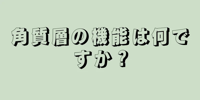 角質層の機能は何ですか？