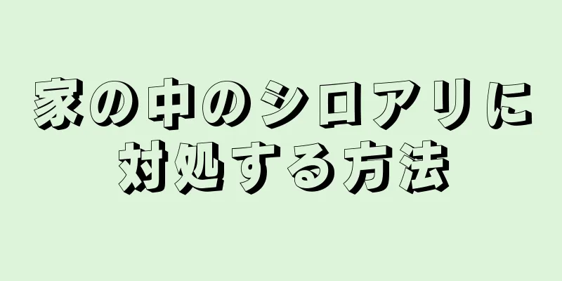 家の中のシロアリに対処する方法