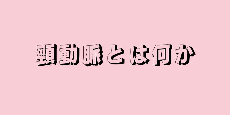 頸動脈とは何か