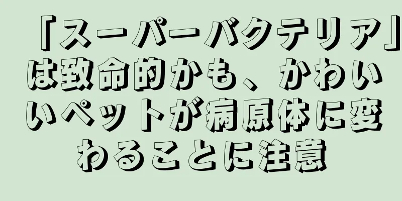「スーパーバクテリア」は致命的かも、かわいいペットが病原体に変わることに注意