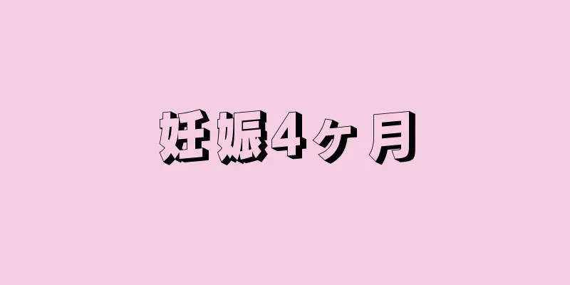 妊娠4ヶ月