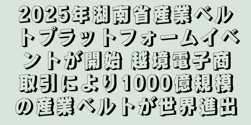 2025年湖南省産業ベルトプラットフォームイベントが開始 越境電子商取引により1000億規模の産業ベルトが世界進出