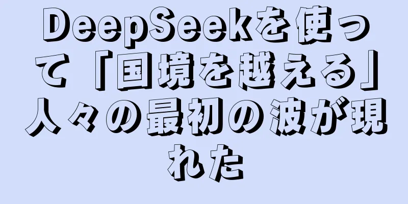 DeepSeekを使って「国境を越える」人々の最初の波が現れた