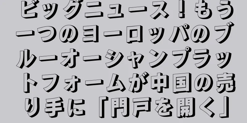 ビッグニュース！もう一つのヨーロッパのブルーオーシャンプラットフォームが中国の売り手に「門戸を開く」