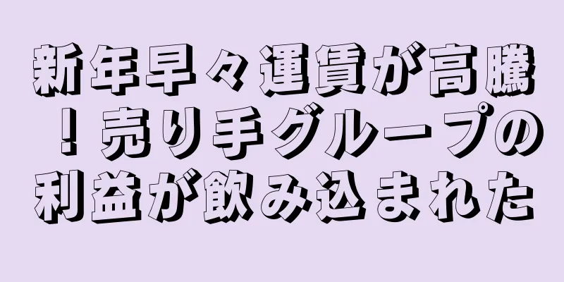 新年早々運賃が高騰！売り手グループの利益が飲み込まれた