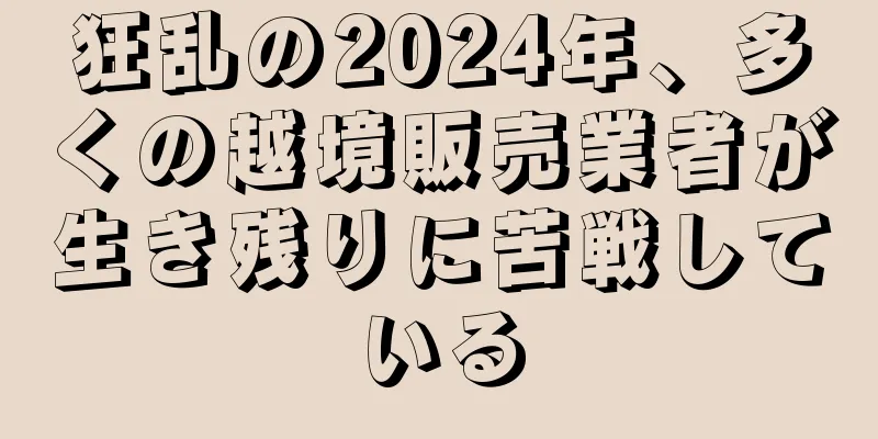 狂乱の2024年、多くの越境販売業者が生き残りに苦戦している