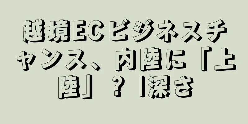 越境ECビジネスチャンス、内陸に「上陸」？ |深さ