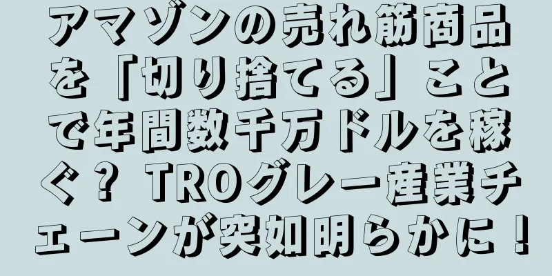 アマゾンの売れ筋商品を「切り捨てる」ことで年間数千万ドルを稼ぐ？ TROグレー産業チェーンが突如明らかに！