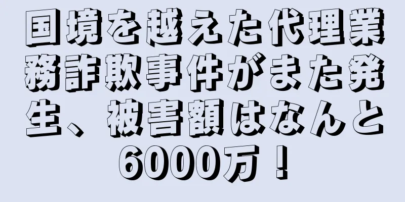 国境を越えた代理業務詐欺事件がまた発生、被害額はなんと6000万！