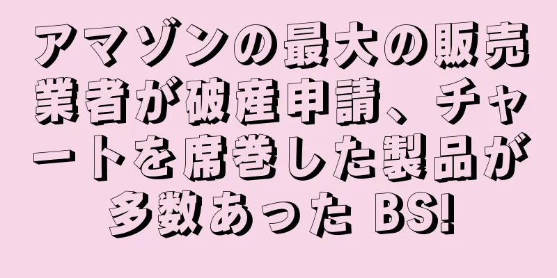 アマゾンの最大の販売業者が破産申請、チャートを席巻した製品が多数あった BS!