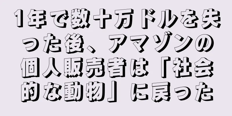 1年で数十万ドルを失った後、アマゾンの個人販売者は「社会的な動物」に戻った