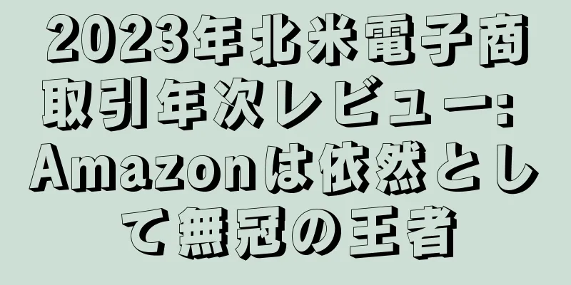 2023年北米電子商取引年次レビュー: Amazonは依然として無冠の王者