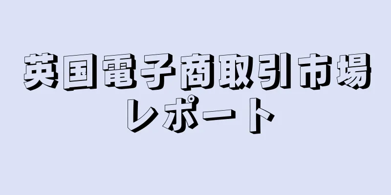 英国電子商取引市場レポート