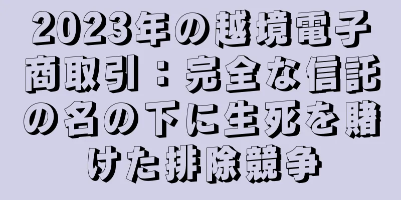 2023年の越境電子商取引：完全な信託の名の下に生死を賭けた排除競争