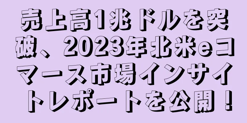 売上高1兆ドルを突破、2023年北米eコマース市場インサイトレポートを公開！