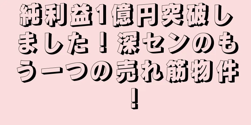 純利益1億円突破しました！深センのもう一つの売れ筋物件！