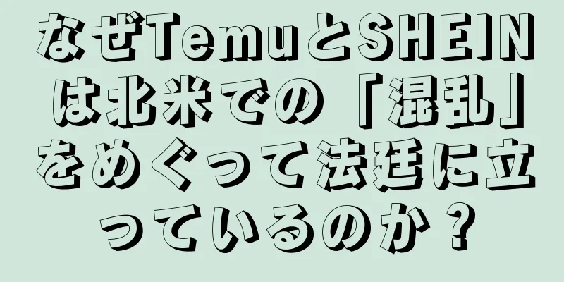 なぜTemuとSHEINは北米での「混乱」をめぐって法廷に立っているのか？