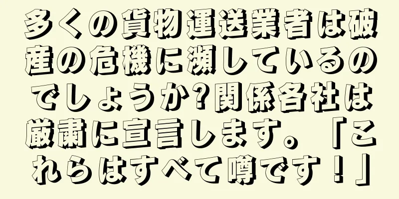多くの貨物運送業者は破産の危機に瀕しているのでしょうか?関係各社は厳粛に宣言します。「これらはすべて噂です！」
