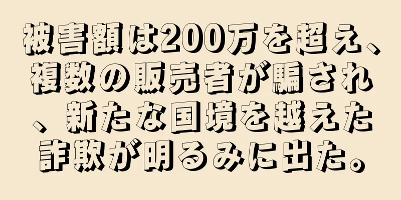 被害額は200万を超え、複数の販売者が騙され、新たな国境を越えた詐欺が明るみに出た。