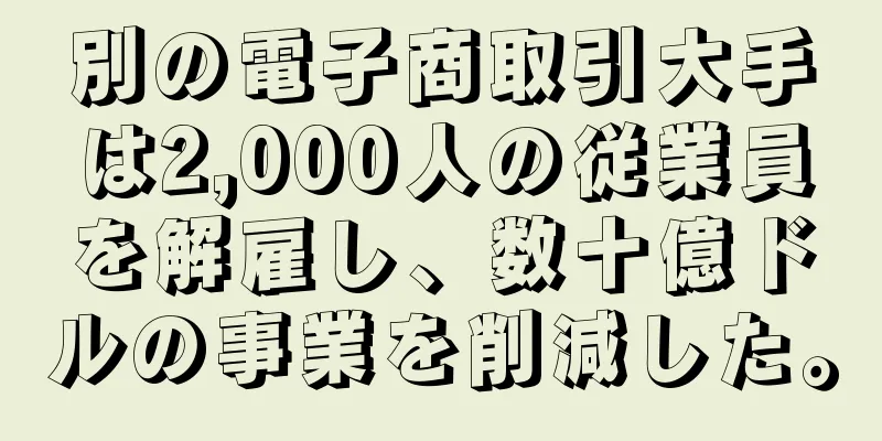 別の電子商取引大手は2,000人の従業員を解雇し、数十億ドルの事業を削減した。