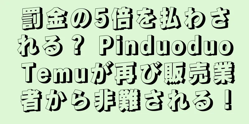 罰金の5倍を払わされる？ Pinduoduo Temuが再び販売業者から非難される！