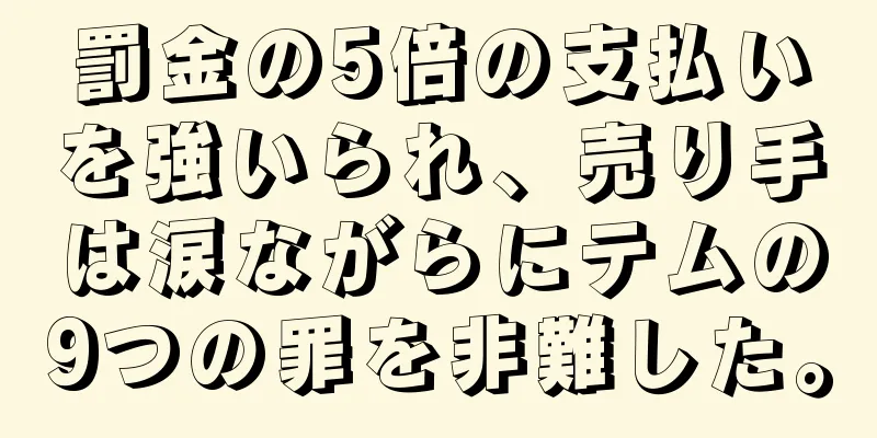 罰金の5倍の支払いを強いられ、売り手は涙ながらにテムの9つの罪を非難した。