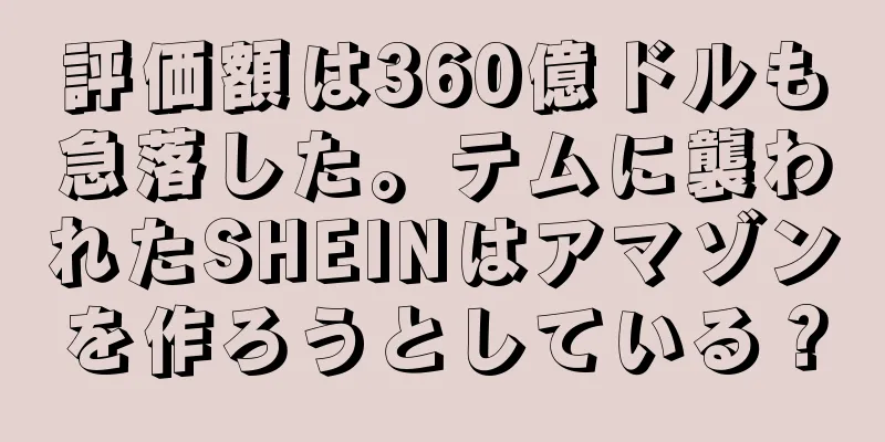 評価額は360億ドルも急落した。テムに襲われたSHEINはアマゾンを作ろうとしている？