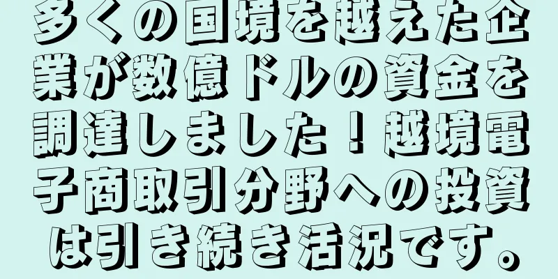多くの国境を越えた企業が数億ドルの資金を調達しました！越境電子商取引分野への投資は引き続き活況です。