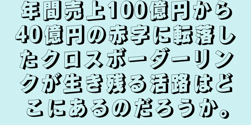 年間売上100億円から40億円の赤字に転落したクロスボーダーリンクが生き残る活路はどこにあるのだろうか。