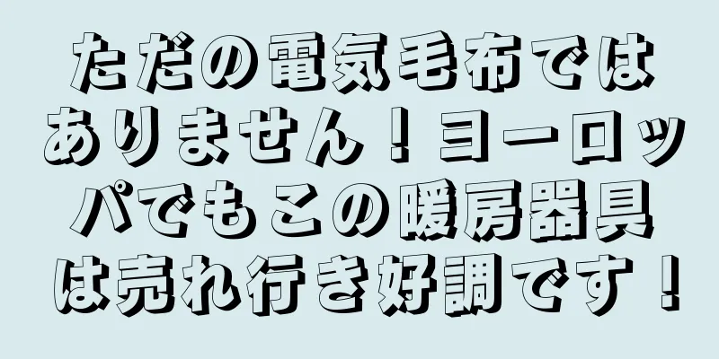ただの電気毛布ではありません！ヨーロッパでもこの暖房器具は売れ行き好調です！