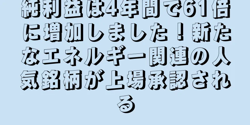 純利益は4年間で61倍に増加しました！新たなエネルギー関連の人気銘柄が上場承認される