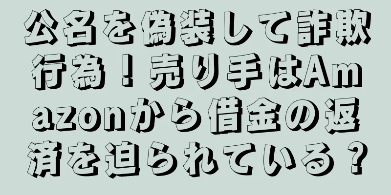 公名を偽装して詐欺行為！売り手はAmazonから借金の返済を迫られている？