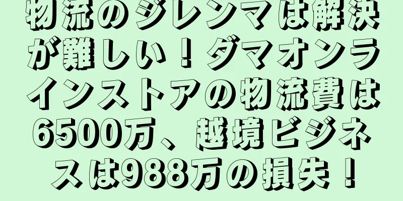 物流のジレンマは解決が難しい！ダマオンラインストアの物流費は6500万、越境ビジネスは988万の損失！
