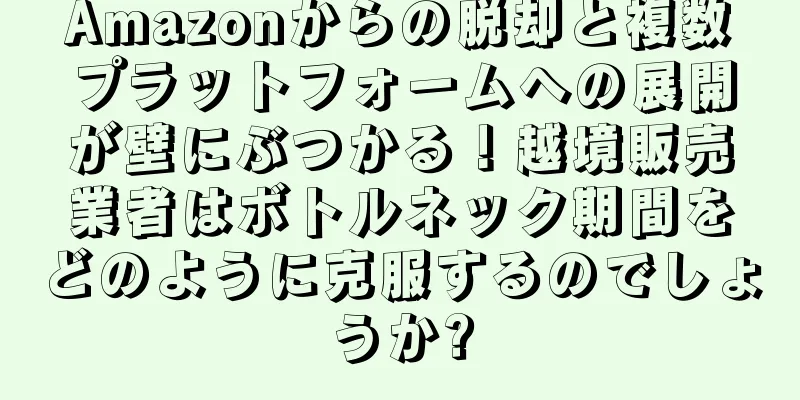 Amazonからの脱却と複数プラットフォームへの展開が壁にぶつかる！越境販売業者はボトルネック期間をどのように克服するのでしょうか?