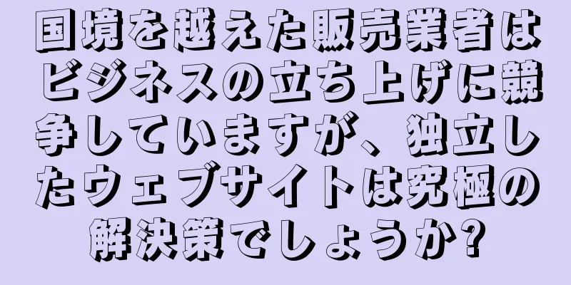 国境を越えた販売業者はビジネスの立ち上げに競争していますが、独立したウェブサイトは究極の解決策でしょうか?