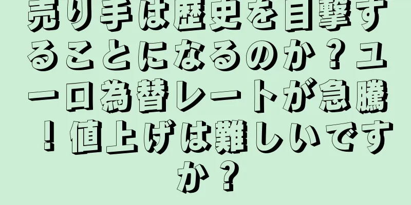 売り手は歴史を目撃することになるのか？ユーロ為替レートが急騰！値上げは難しいですか？