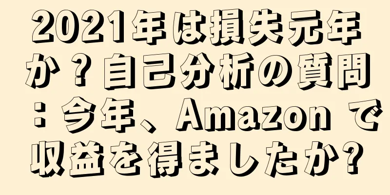 2021年は損失元年か？自己分析の質問：今年、Amazon で収益を得ましたか?