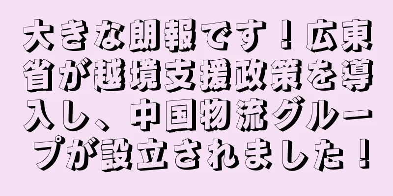 大きな朗報です！広東省が越境支援政策を導入し、中国物流グループが設立されました！