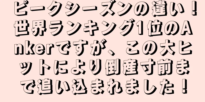ピークシーズンの違い！世界ランキング1位のAnkerですが、この大ヒットにより倒産寸前まで追い込まれました！