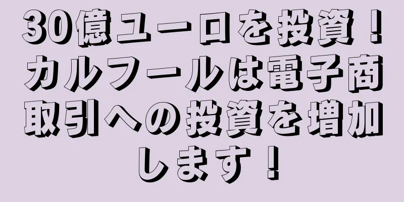 30億ユーロを投資！カルフールは電子商取引への投資を増加します！