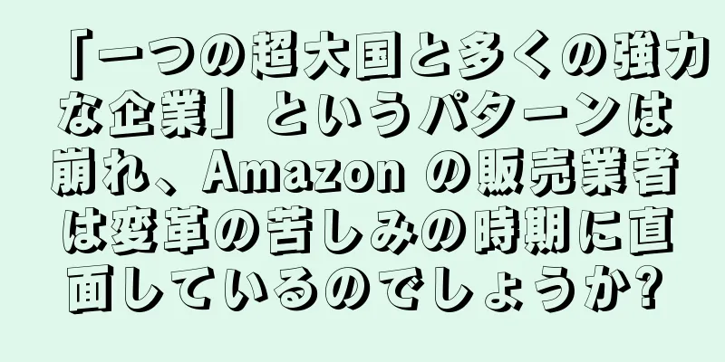 「一つの超大国と多くの強力な企業」というパターンは崩れ、Amazon の販売業者は変革の苦しみの時期に直面しているのでしょうか?
