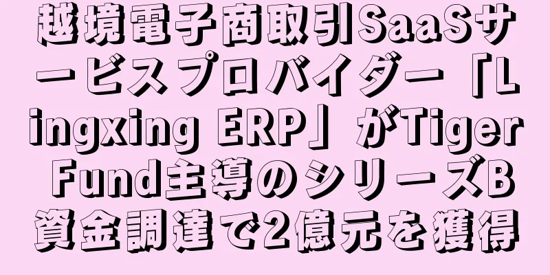越境電子商取引SaaSサービスプロバイダー「Lingxing ERP」がTiger Fund主導のシリーズB資金調達で2億元を獲得